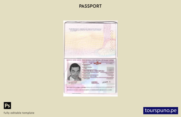 Plantilla de pasaporte checo lista para imprimir